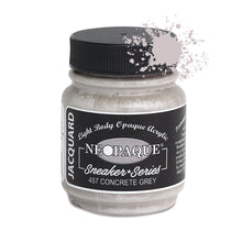 Load image into Gallery viewer, Jacquard Neopaque Fabric Paints 2.25oz - 457 Concrete Grey