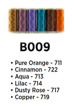 Load image into Gallery viewer, WonderFil InvisaFil polyester sewing thread collections b009 400m