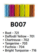 Load image into Gallery viewer, WonderFil InvisaFil polyester sewing thread collections b007 400m
